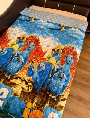 Детска кувертюра за легло "Рио"